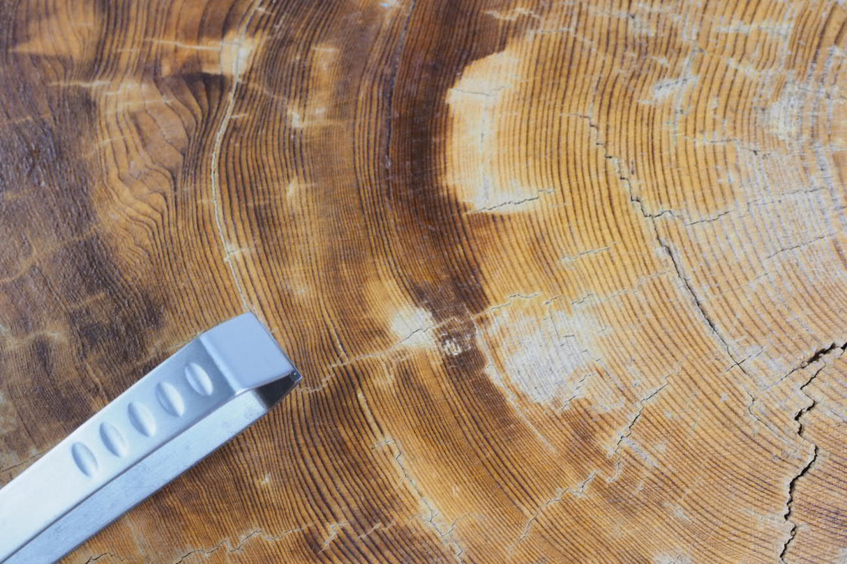 KD Chef Tweezer - East type