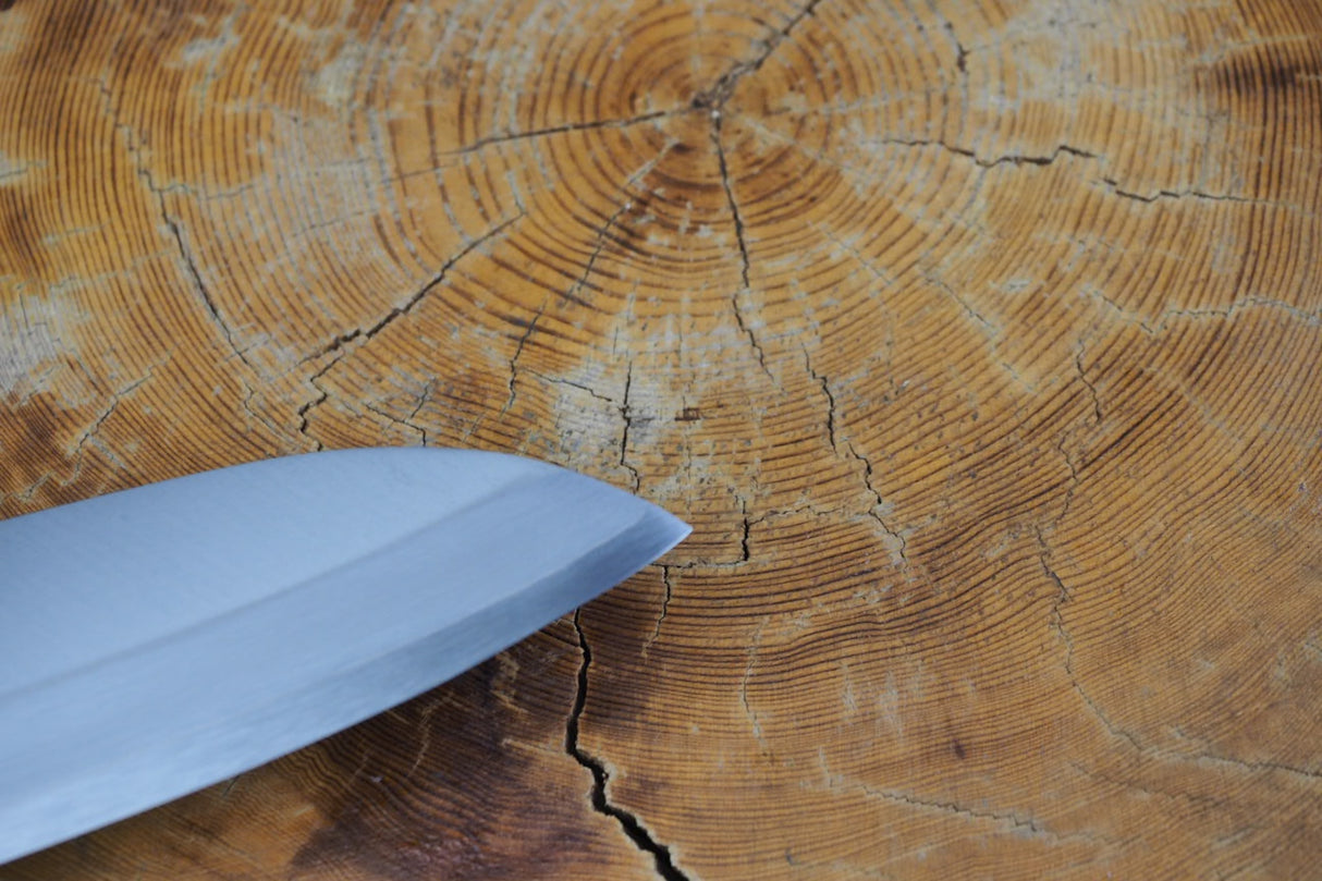 残心 Zan Shin® REN (from Seki) - Blue Super steel Santoku with Quince Handle 18cm