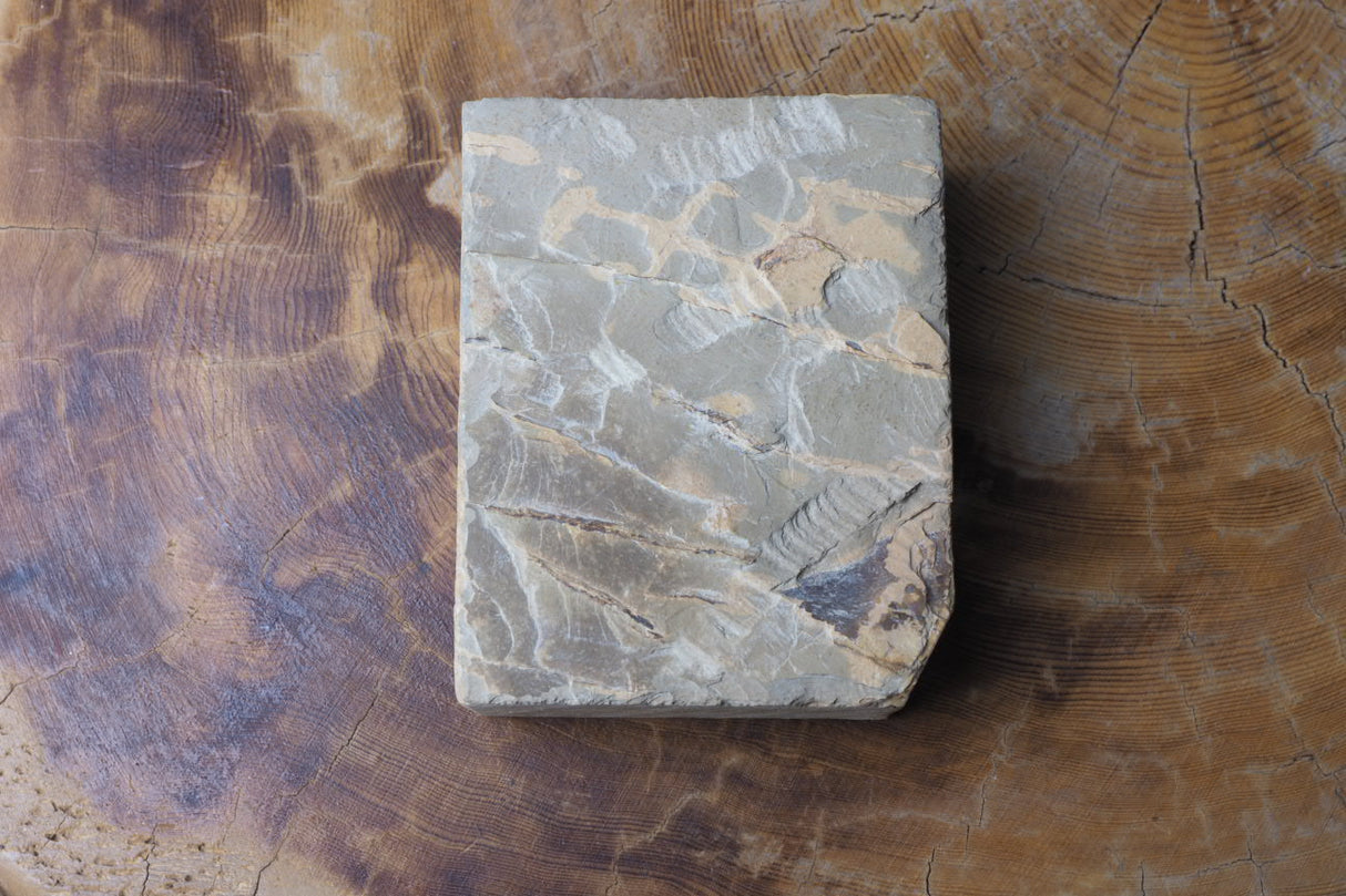 Jnat (Japanese Natural Whetstone) - Shohonyama Awasedo Shobu F