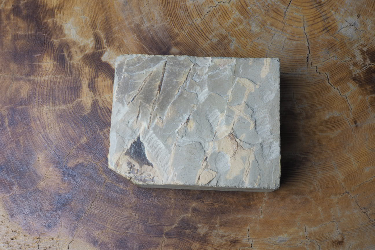 Jnat (Japanese Natural Whetstone) - Shohonyama Awasedo Shobu F