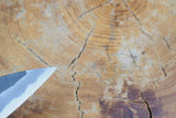 Ishizuchi (from Tosa) - Blue-2 Carbon Steel Kurouchi Ajikiri Knife (10.5cm)
