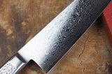 Sakai Jikko "Never Stain" Gyuto SG2 Powdered High Speed Steel Damascus with Hammered Finish (21cm/24cm)