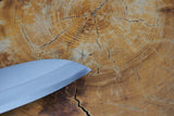 残心 Zan Shin® REN (from Seki) - Blue Super steel Santoku with Quince Handle 18cm