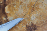 残心 Zan Shin® Akatsuki (from Seki) - VG10 Kiritsuke (K-tip) Petty 15cm (honesuki style)