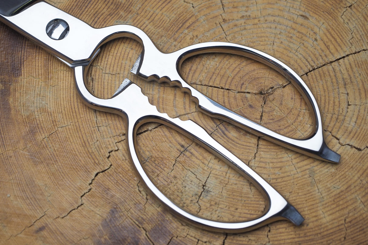 All Stainless Kitchen scissors