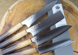 Seki Kanetsugu - Shiun 4 knife Set VG10 Steel Burnt Lacquer Handle Gyuto, Santoku, Nakiri and Petty