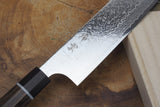 Seki Kanetsugu - Zuiun Gyuto SG2 High Speed Powdered Steel Kiritsuke (K-tip) Gyuto 21cm (custom sheath included)