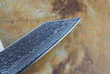 Seki Kanetsugu - Zuiun Gyuto SG2 High Speed Powdered Steel Kiritsuke (K-tip) Gyuto 21cm (custom sheath included)