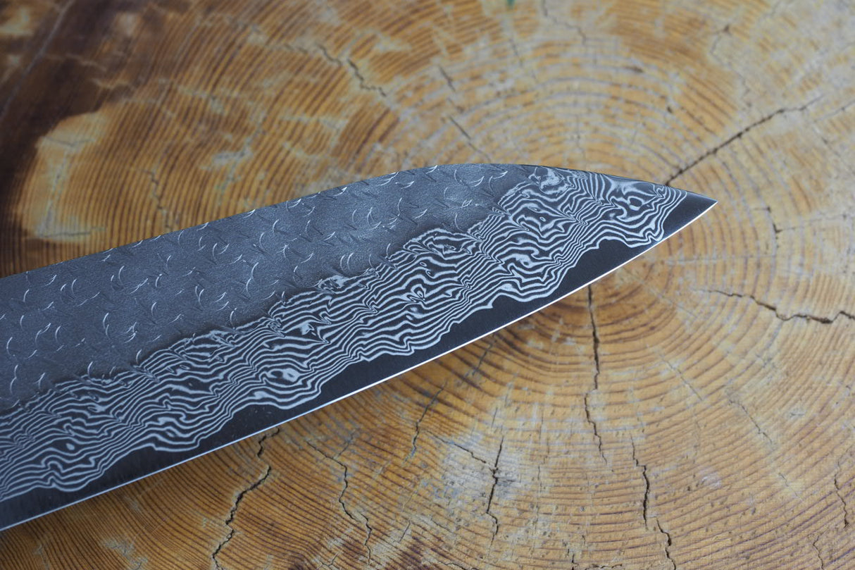 Nigara Hamono - SPG Strix Damascus Gyuto (Chef's Knife) 21cm with Evony Handle