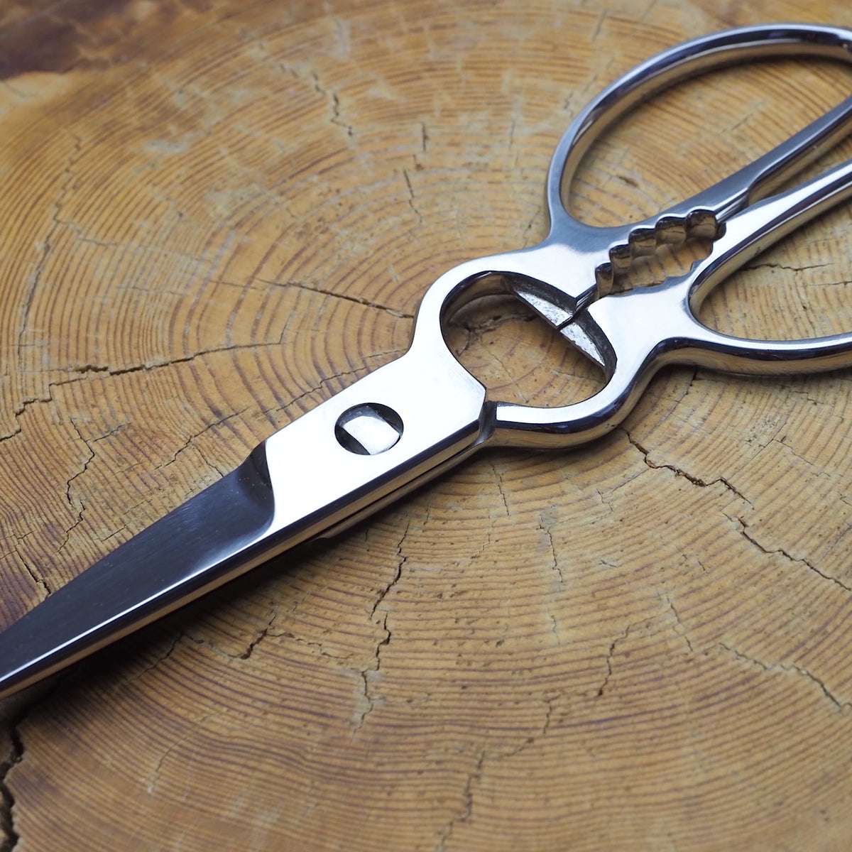All Stainless Kitchen scissors – Kaz's Knife and Kitchenware